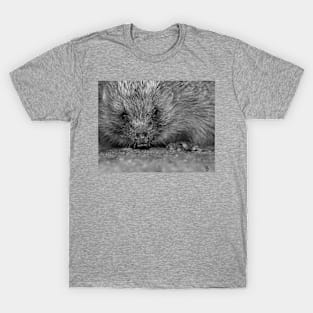 Hedgehog T-Shirt